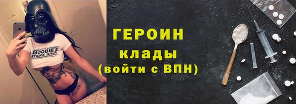 прущие грибы Надым