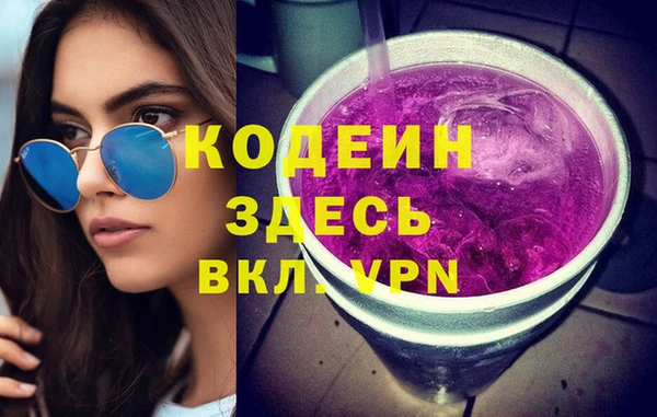 прущие грибы Надым
