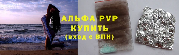 прущие грибы Надым