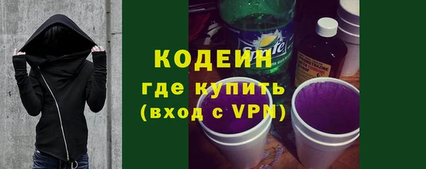 прущие грибы Надым