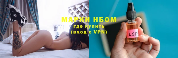 прущие грибы Надым