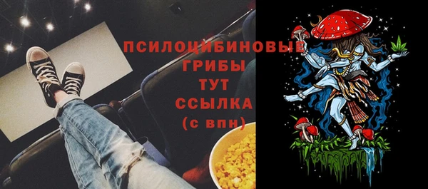 прущие грибы Надым