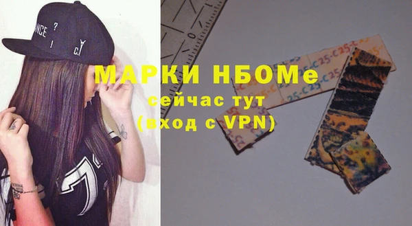 прущие грибы Надым