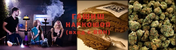 прущие грибы Надым