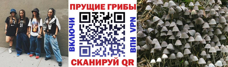 Псилоцибиновые грибы ЛСД  Брюховецкая 